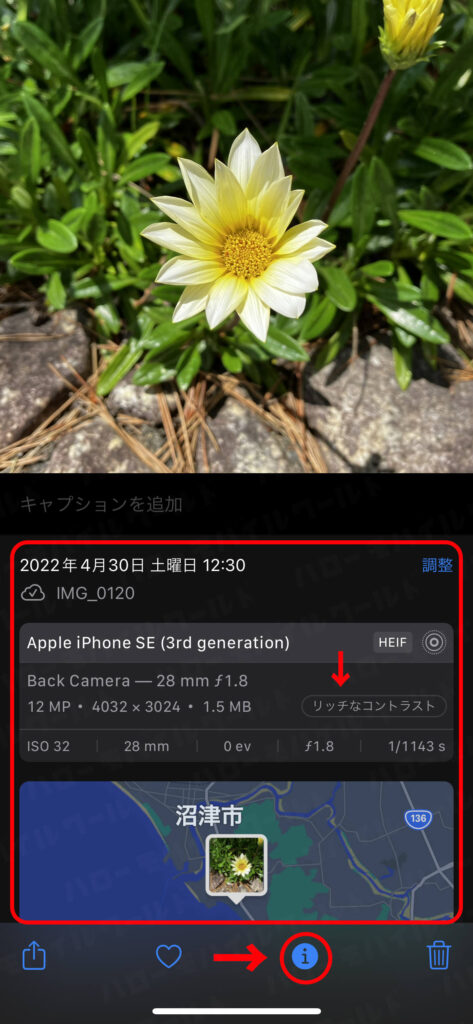 iPhoneの写真アプリで写真の撮影スタイルを確認する方法