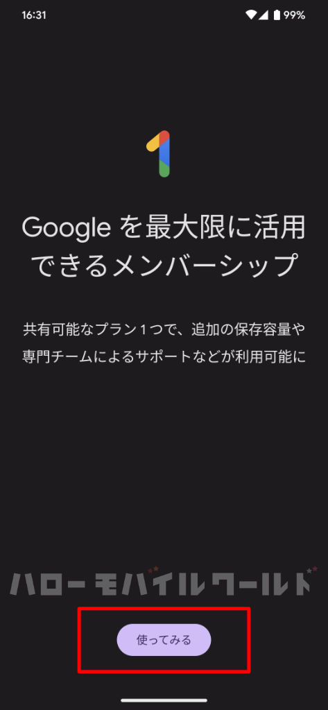 Google One アプリ 初期起動画面