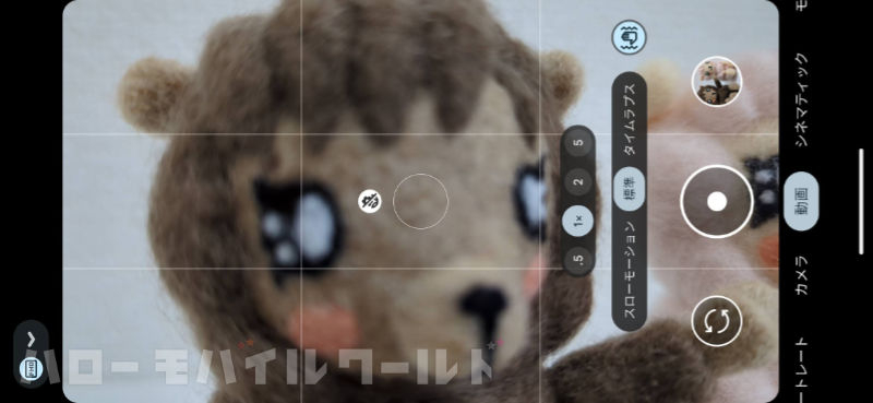 Google Pixel 7 Pro カメラ（動画） マクロフォーカス機能